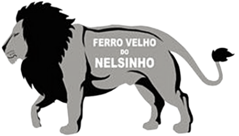 Ferro Velho Nelsinho